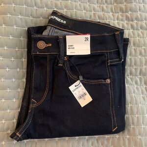 Express Dark Wash Skinny Jeans